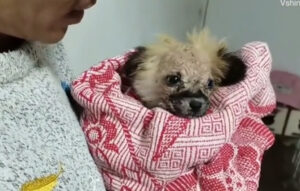 Screenshot 2022-04-01 221621