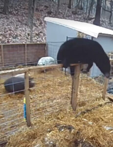 Screenshot 2022-04-05 111138