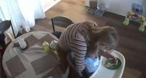 Screenshot 2022-04-06 184517