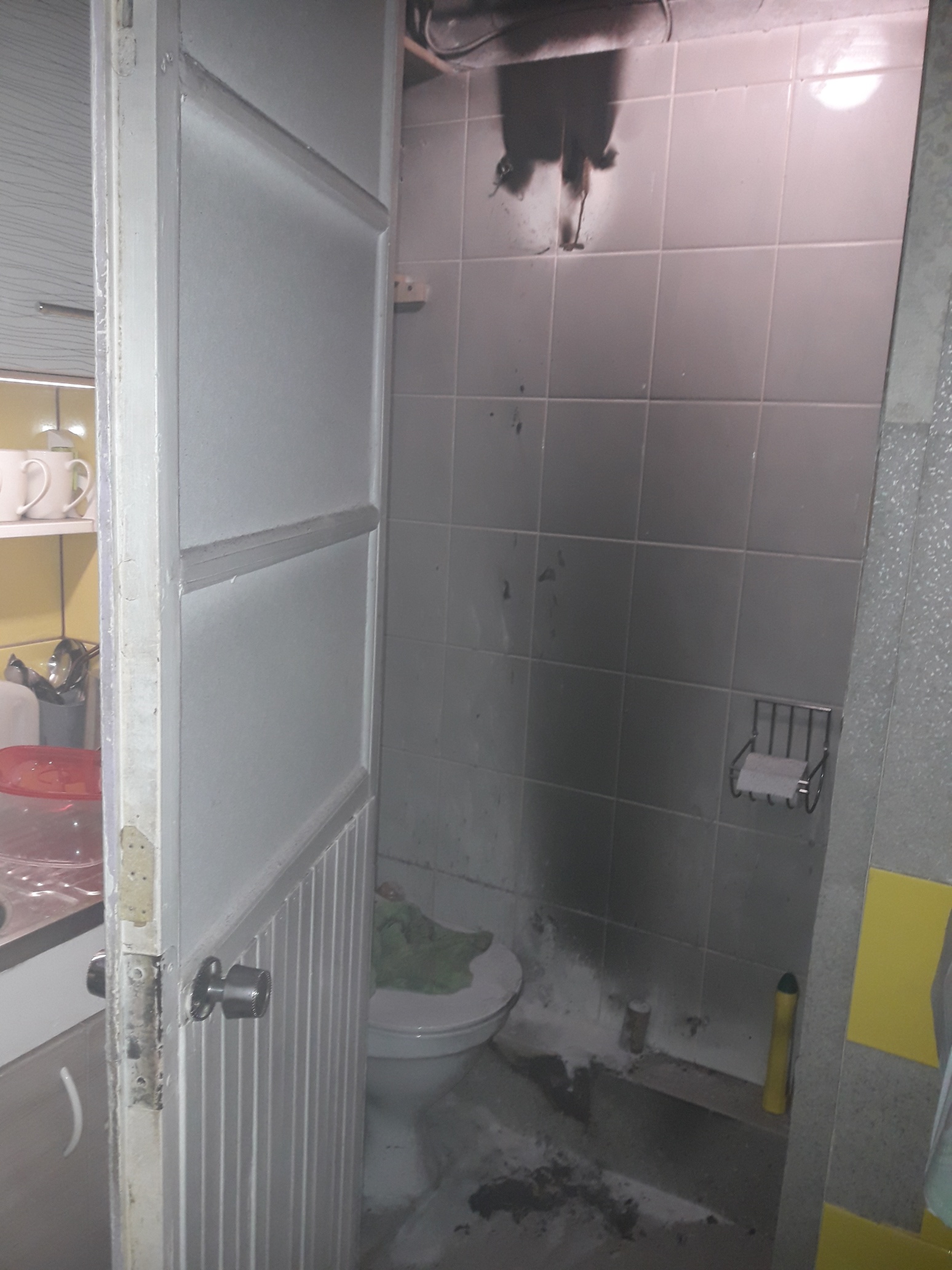 Tartu föönipõleng (1)