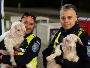 14555224t1h1c08-1200x900