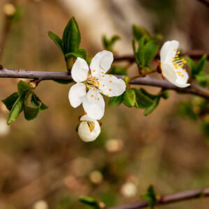 20220512130050__MG_0514