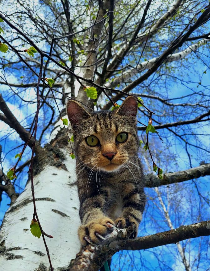 279854303_533118521524673_7115928427402880656_n