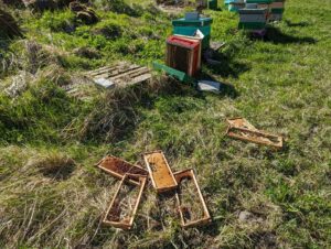 281643473_3202153663361559_6197395058875922602_n