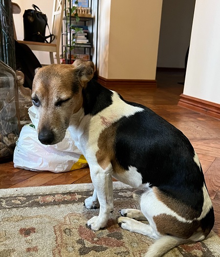 285325583_10228469793839560_4972804724681377532_n