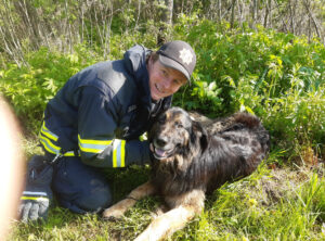 Mustvee tänulik koer