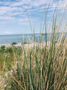 292213530_411181514370712_237249941475435193_n