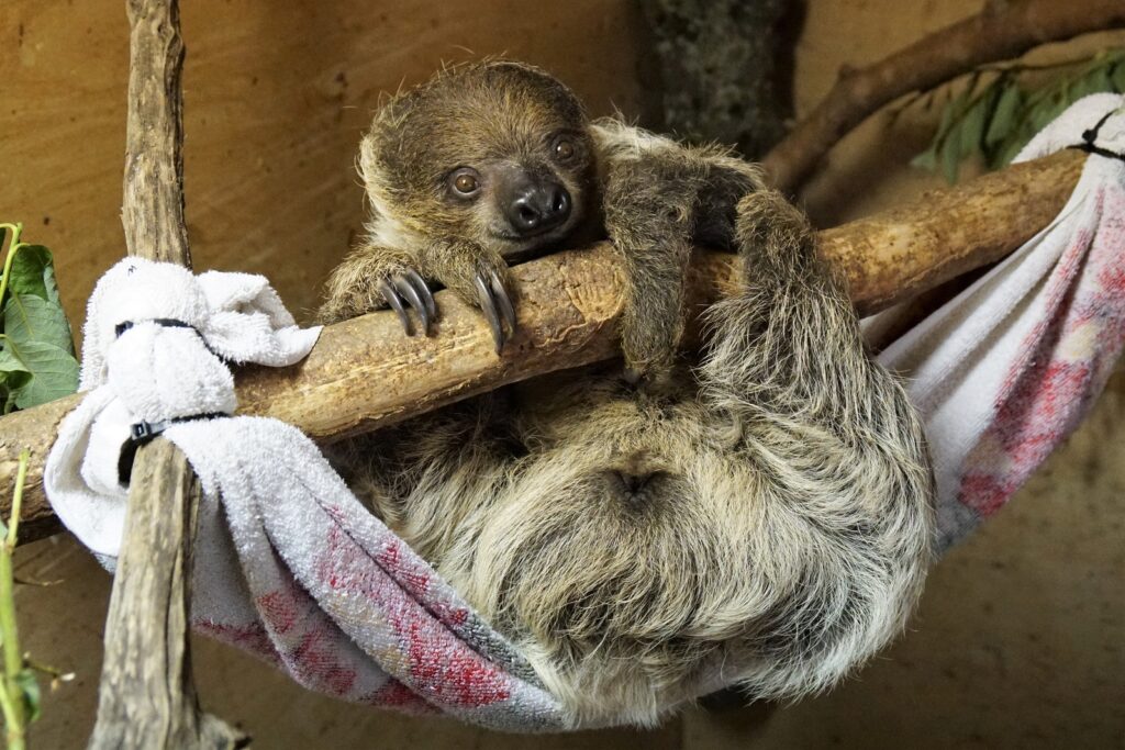 unautudruk peale saabumist karantiinis foto Inari Leiman