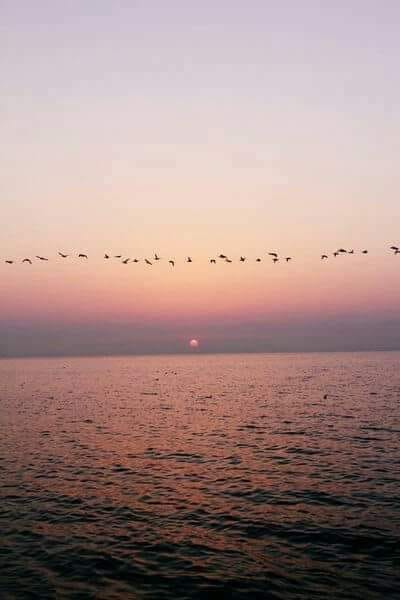 117765372_10224708546235699_5161250093103602641_n