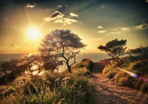 13934798_10208411880869250_5038766261920445919_n