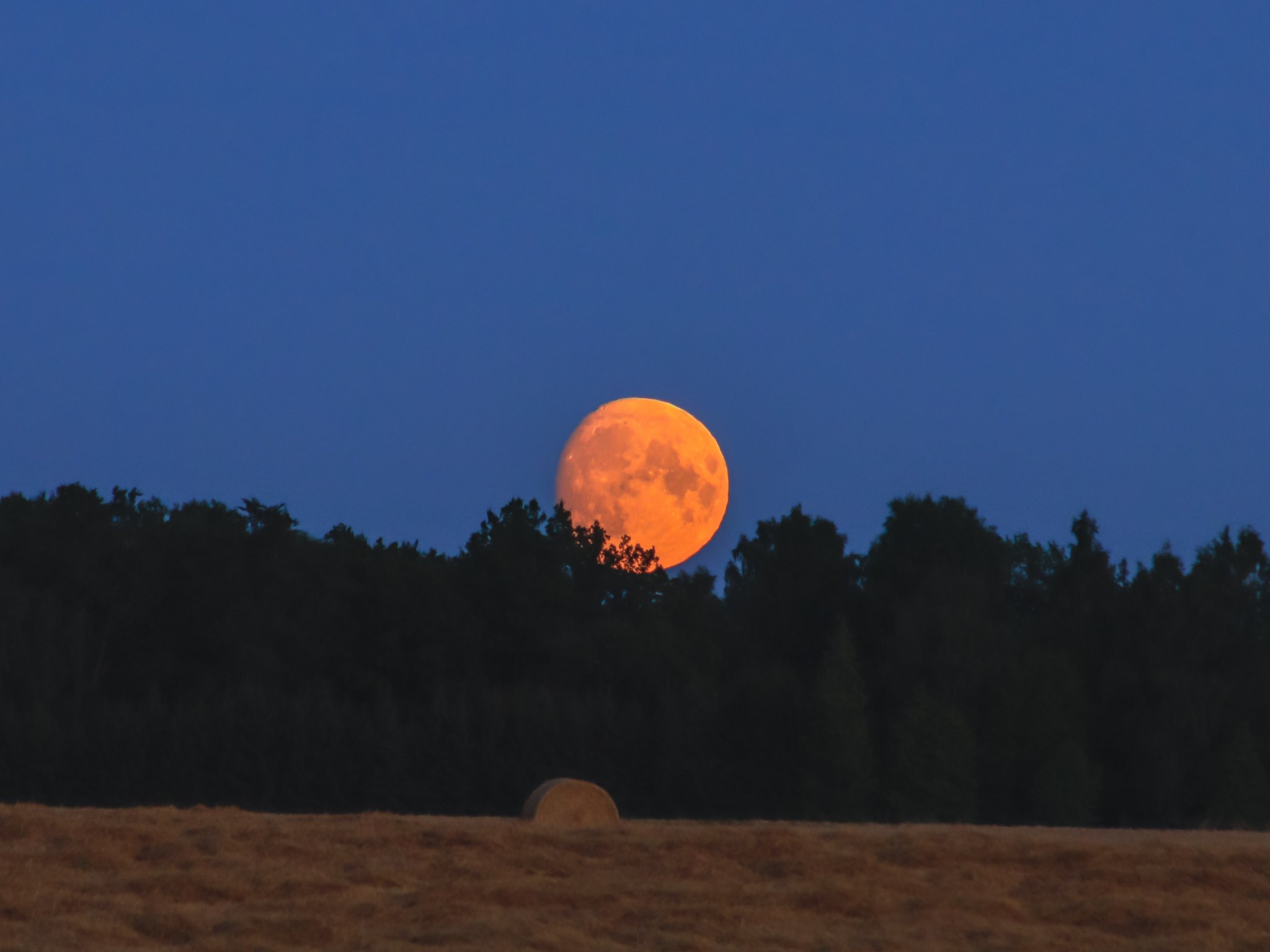 298402820_5705012766197450_2486322948154863836_n