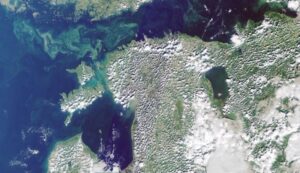 kuvatommis_2022-08-11_122342