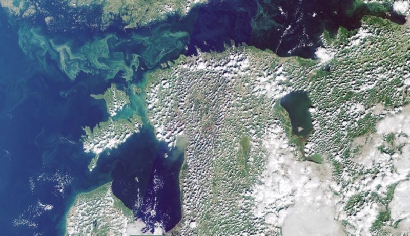 kuvatommis_2022-08-11_122342