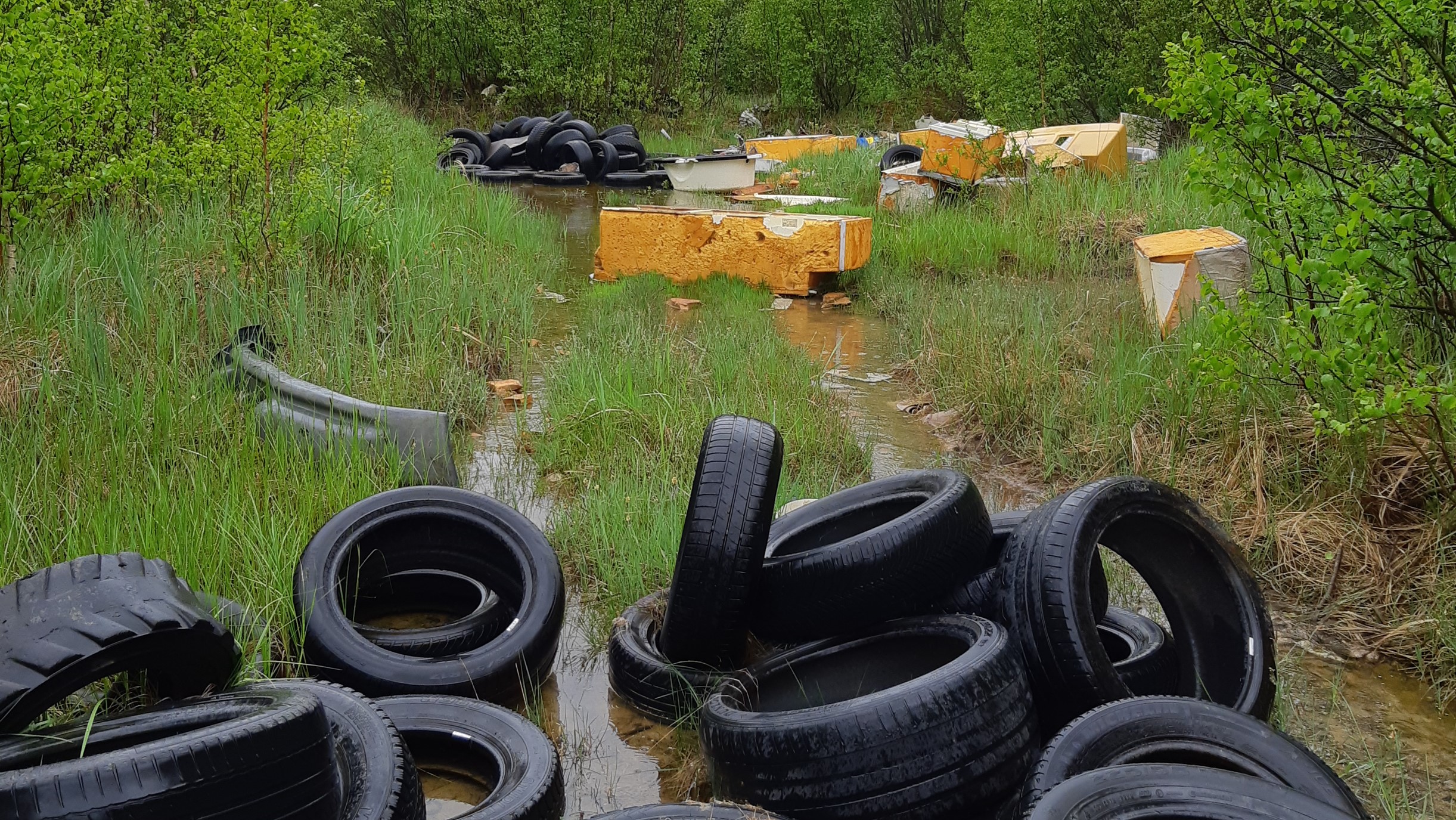 Jäätmed - Järvesilma-2022