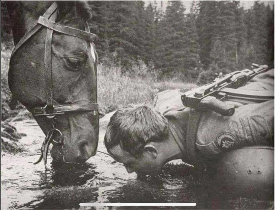 117904940_3338410962861191_3333558387362391633_n