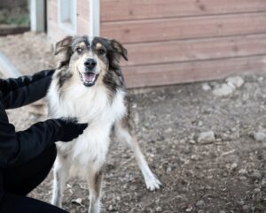 13-aastane Suur Papa Foto_Agne Astel-Rankla