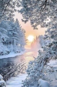 315980823_128939536633718_258036941858683767_n