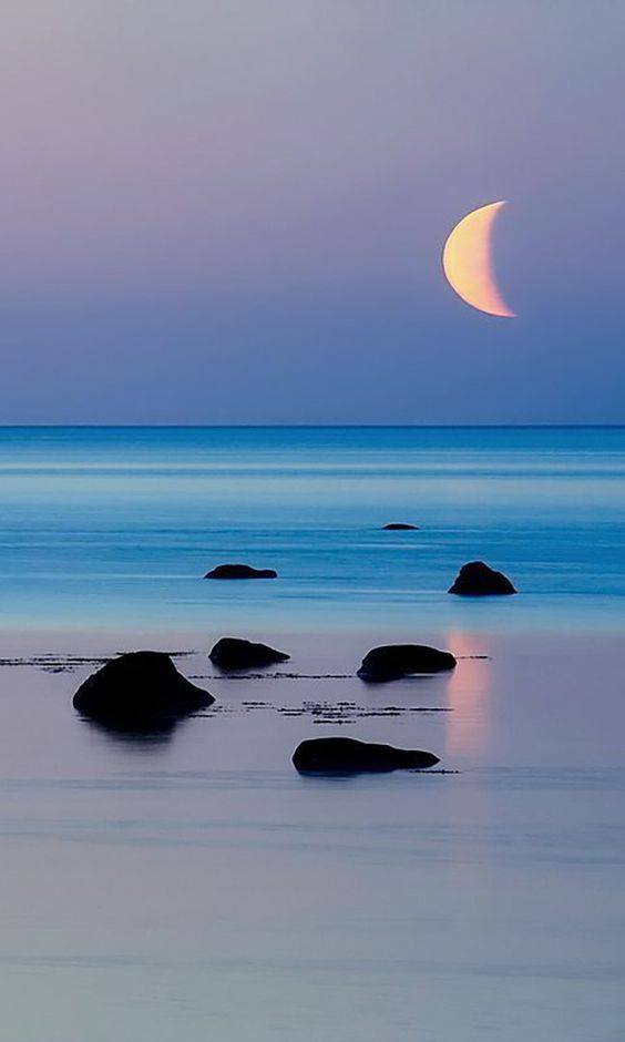 45507629_10219034419466076_31858748846768128_n