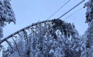 318328252_6501418999875403_269021092709807312_n