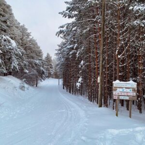 320141223_554121259547053_8158200940082362507_nfull