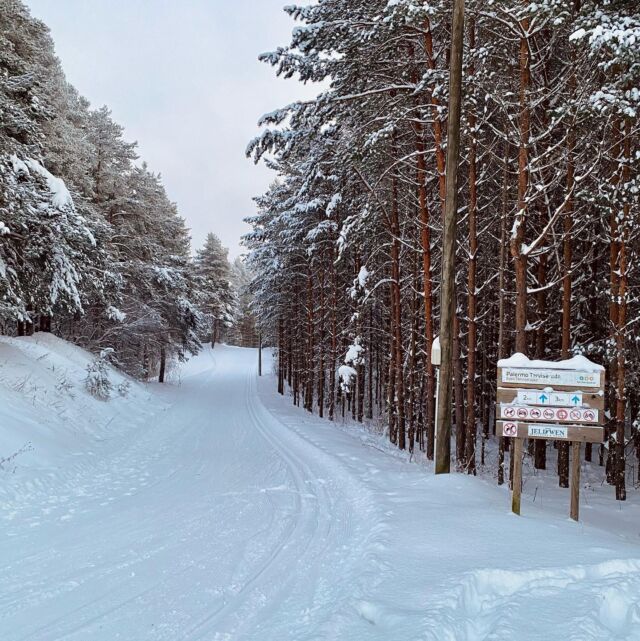 320141223_554121259547053_8158200940082362507_nfull