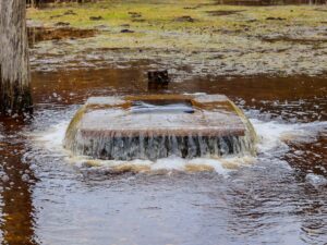 321618532_831898641211828_4995514349379932740_n