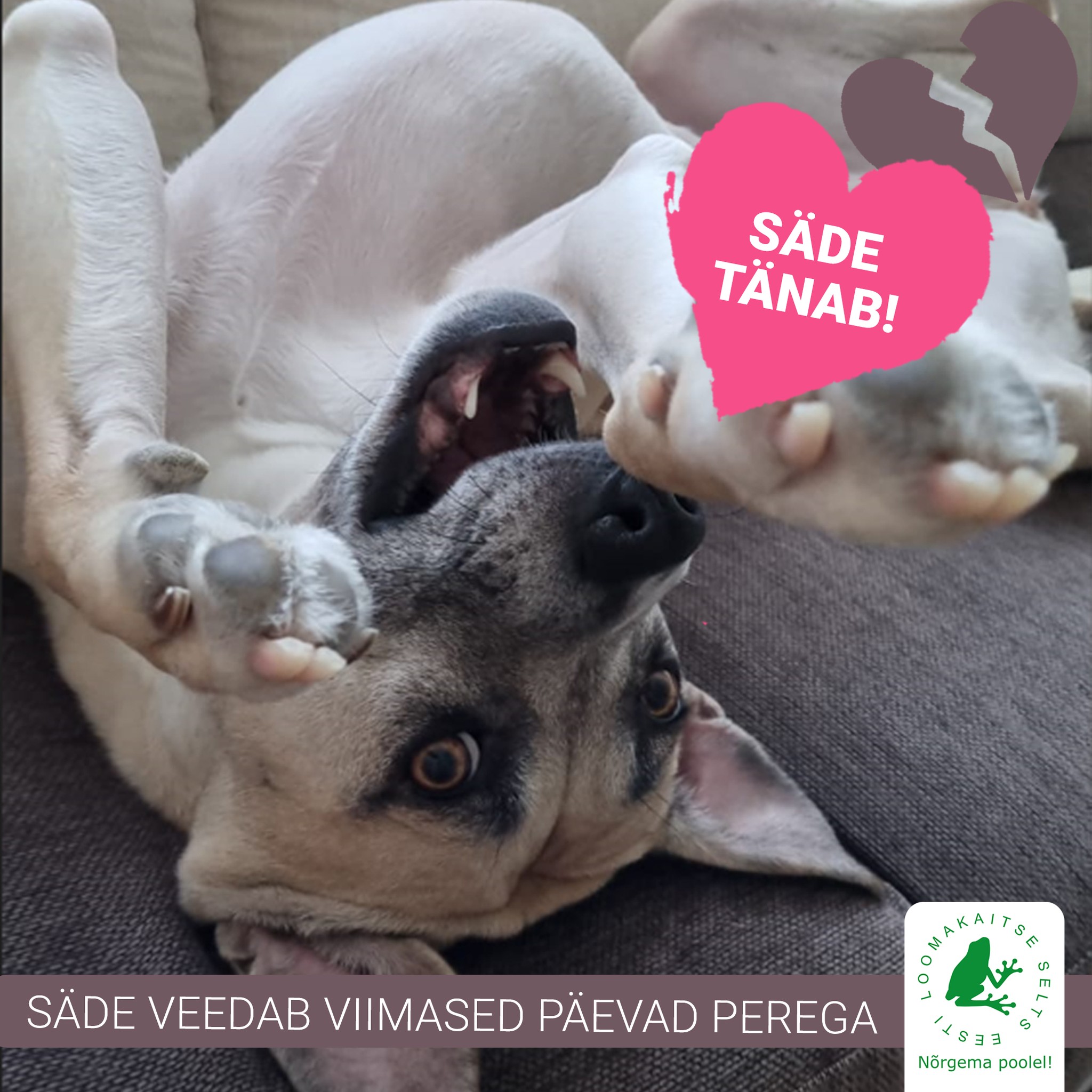 323144382_842677163684272_2759425950812874816_n