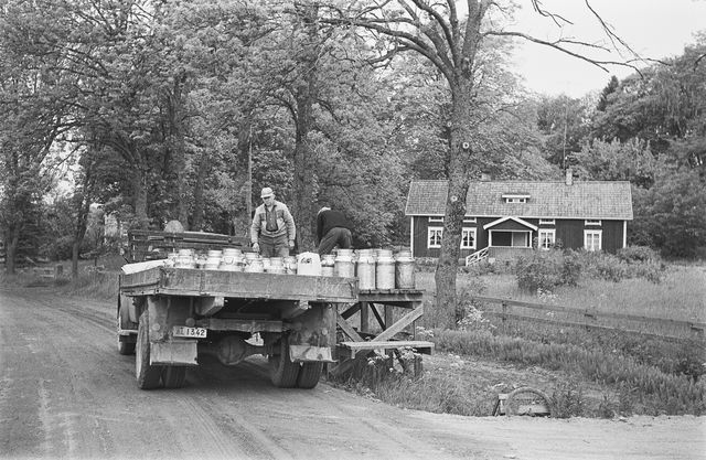 Nostalgia hetk: PIIMAPUKK 3 Mjolkkannor lastas vid mjolkbrygga i Palsbole