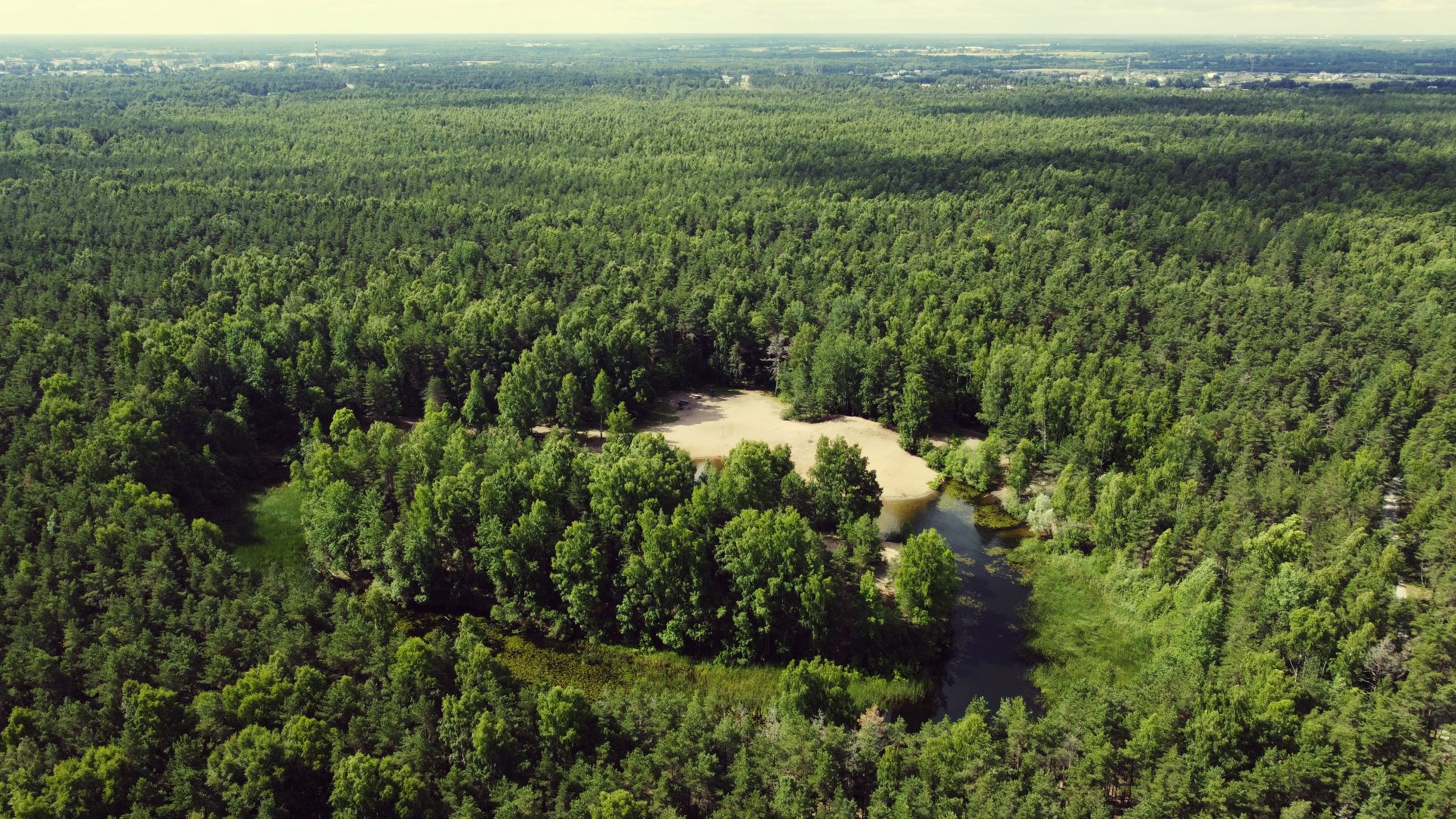 Nõmme-Harku Rõngasjärv 2022 vaade