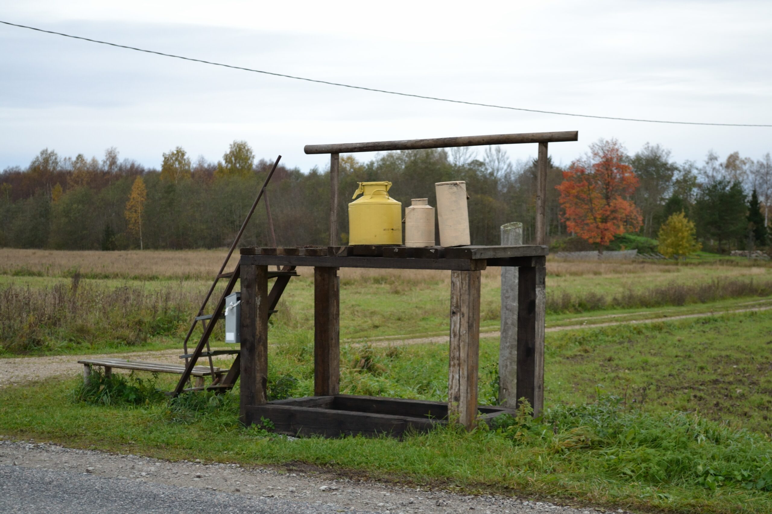 Piimapukk_Vardi-Nurme_teel