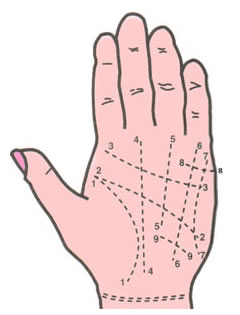 Soovid teada, mis on sinu saatus? Proovi ennustada enda käejoonte abil ja vaata milliseid saladusi see paljastab! 2 image 1