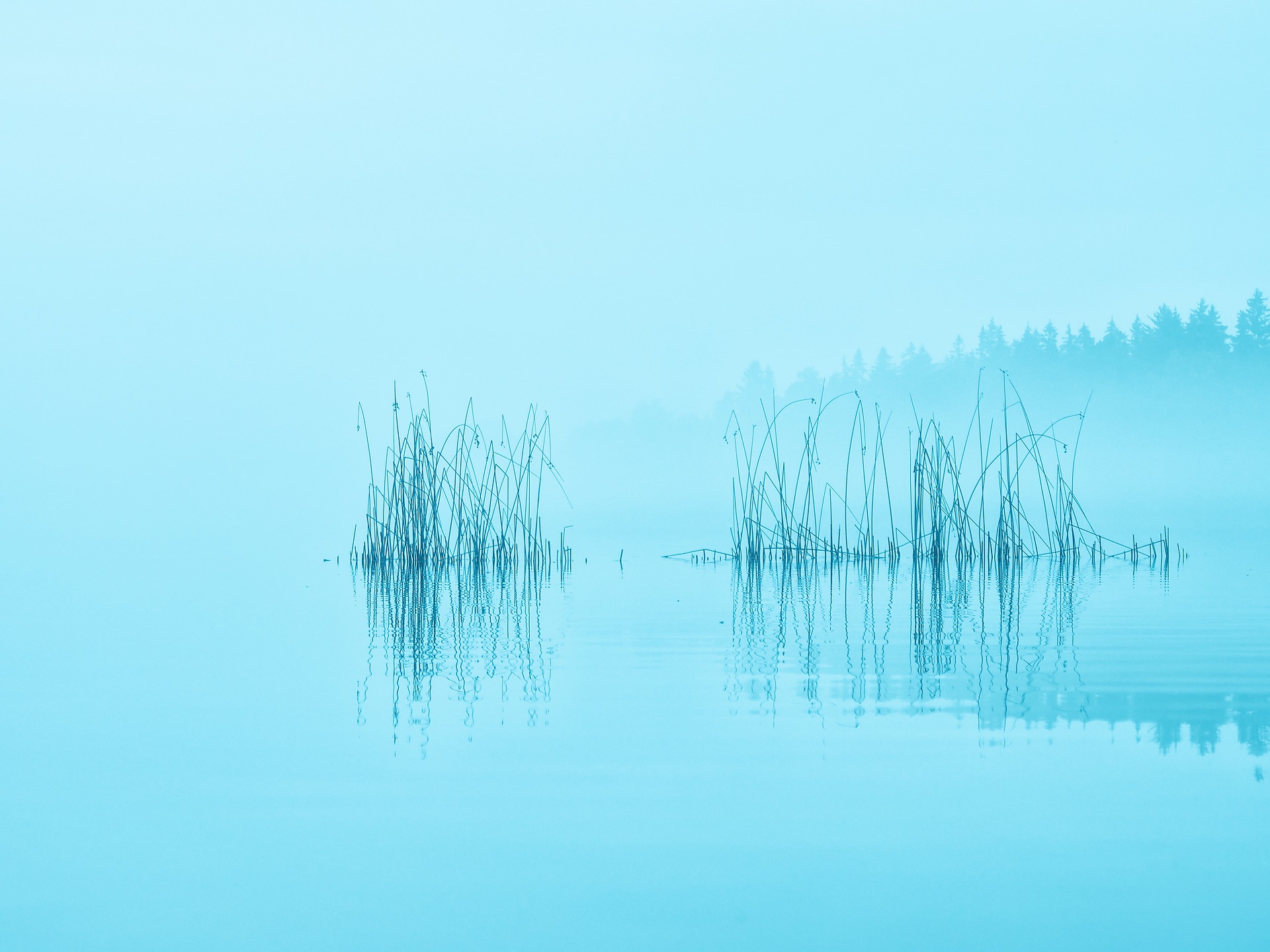 morning-g13cbf41ad_1920