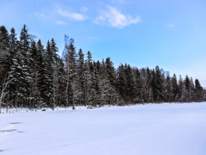 20230221151511__MG_0003