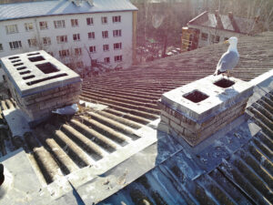 created by dji camera