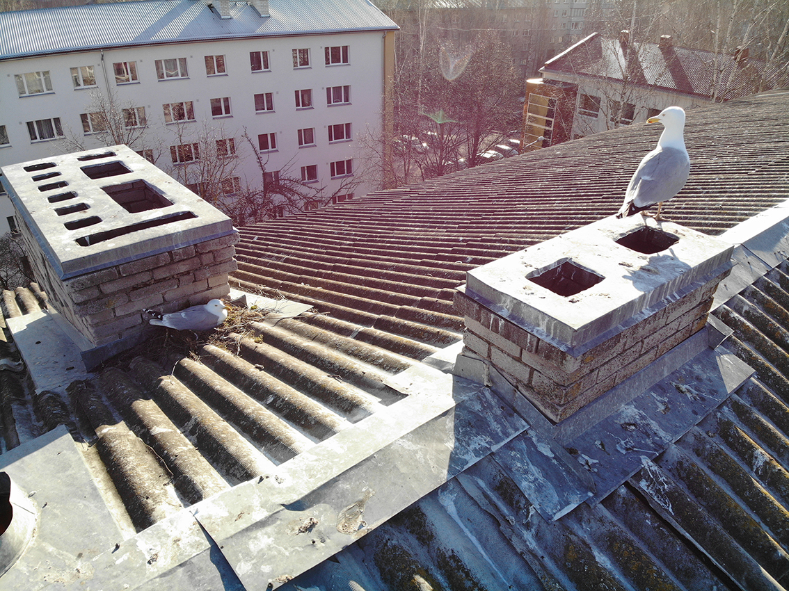 created by dji camera