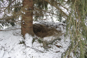 Karupesa_foto autor Aimar Rakko