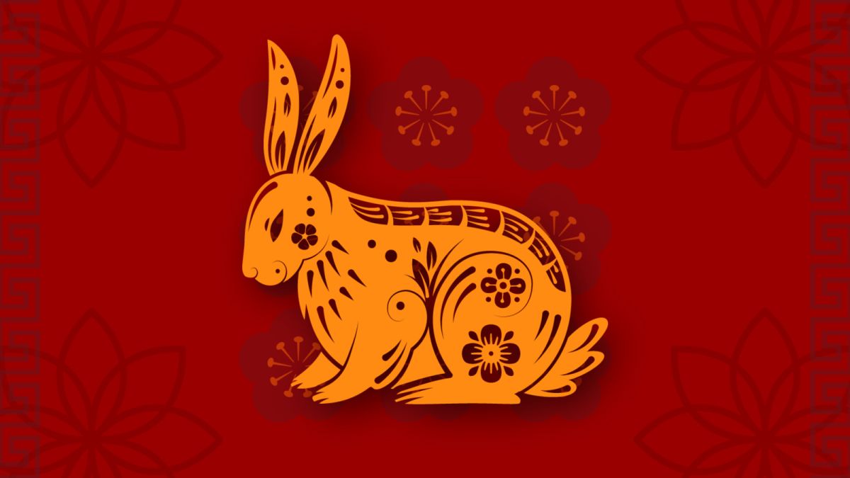 https___cdn.cnn.com_cnnnext_dam_assets_230119153344-20230119-lunar-new-year-zodiac-rabbit-illo