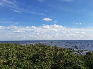 puhta õhu päev 2022