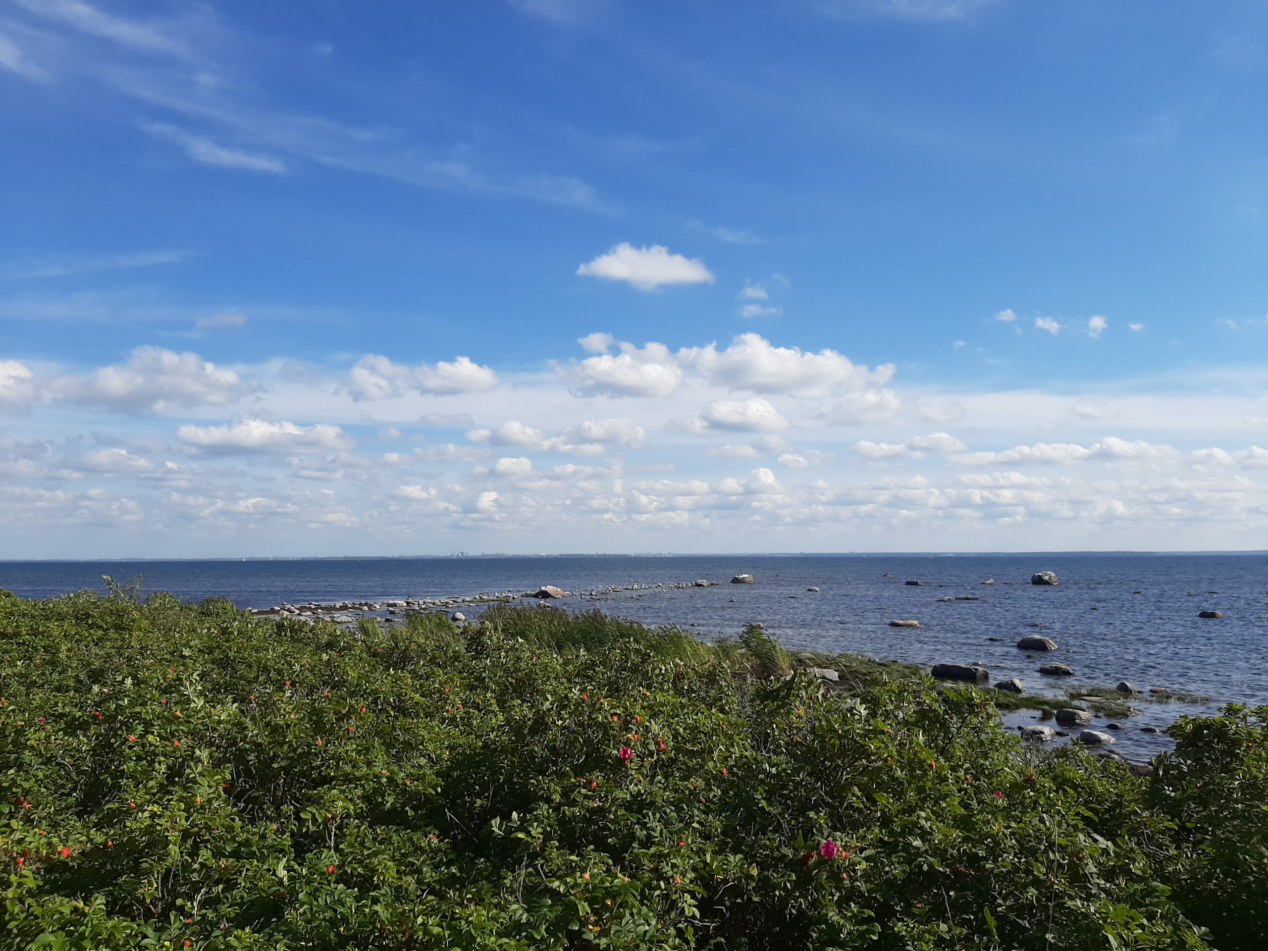 puhta õhu päev 2022