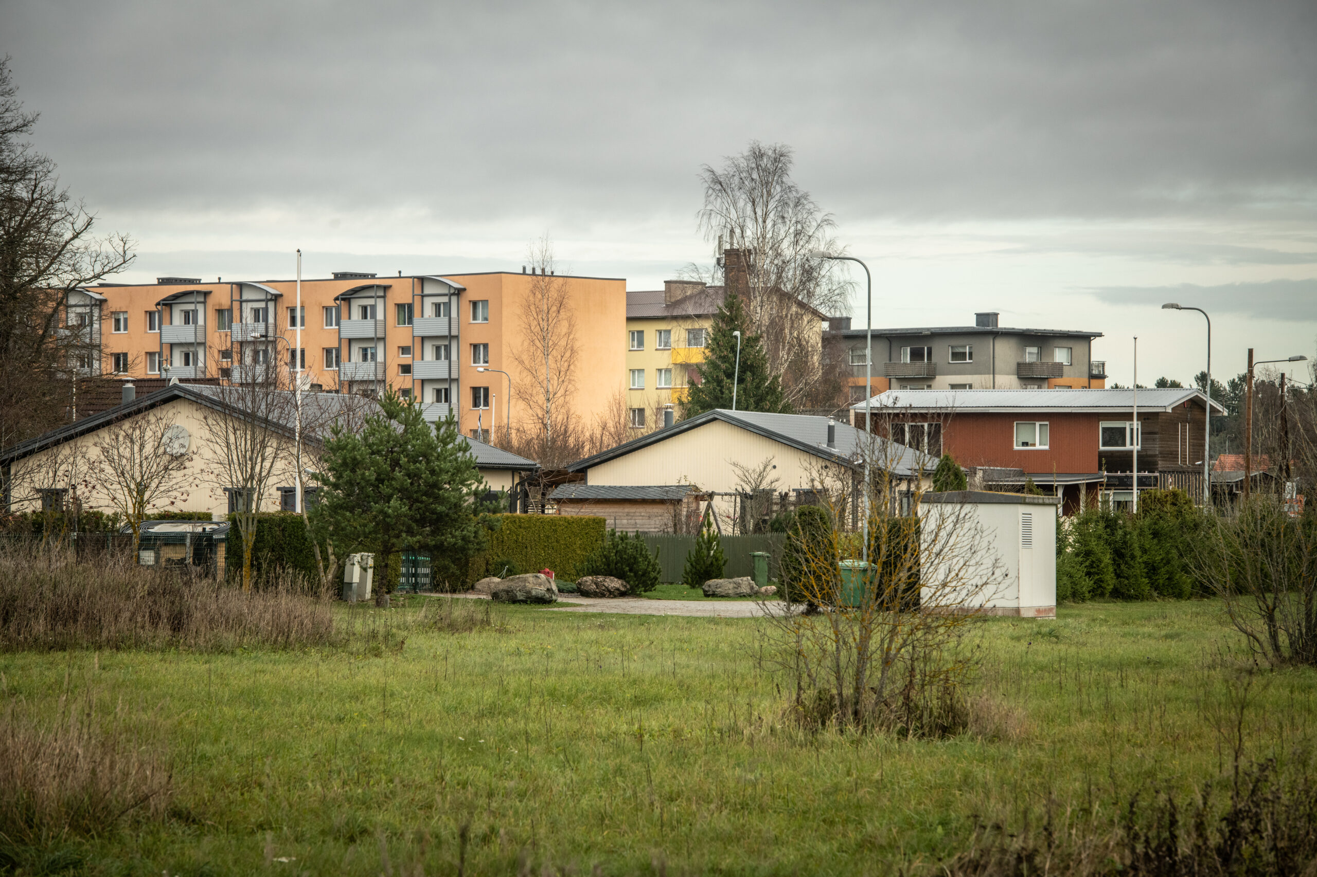 Foto-RaigoPajula-6270