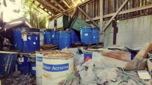 Silikaltsiidi_ foto autor Keskkonnaamet