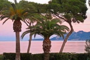 mallorca