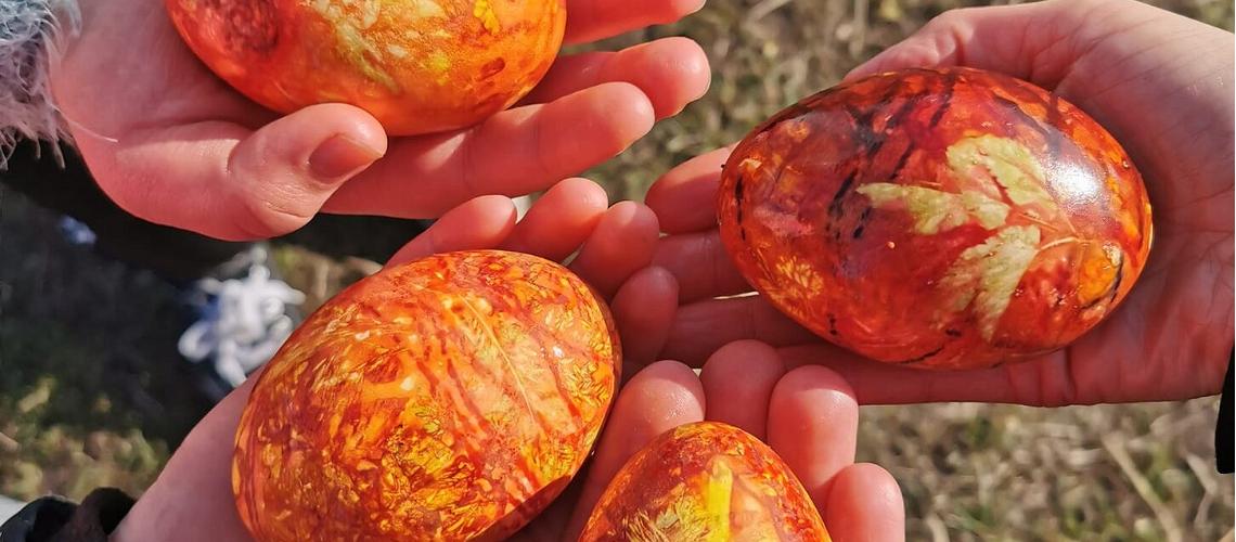 1140_500_false_false_993b43ff52d8cd22d63bb4823fdba2cb