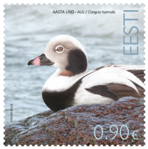 Aastalind_aul_25380_