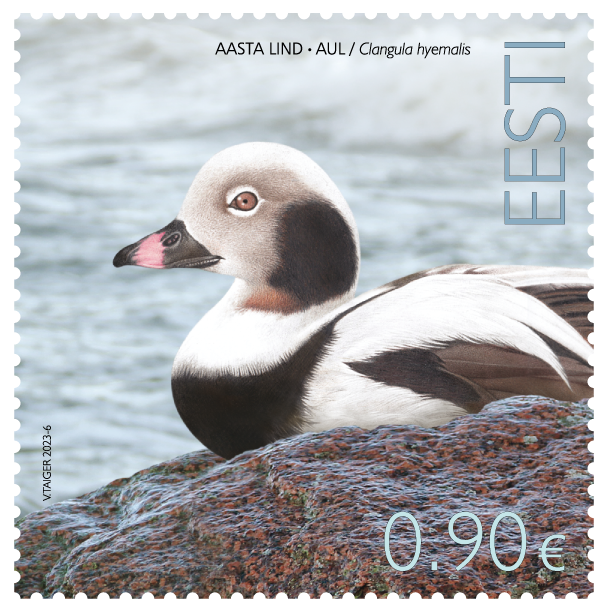 Aastalind_aul_25380_