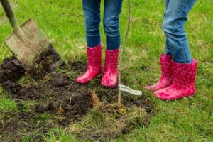 Riigikantselei_A_Urb-33