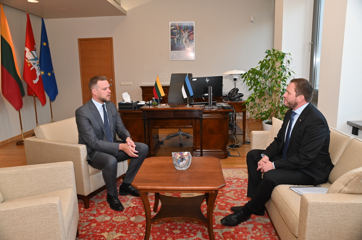 Tsahkna ja Landsbergis kohtumisel