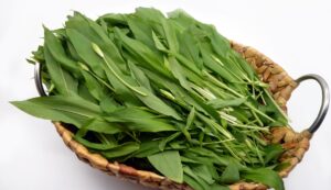 bears-garlic-gb267de541_1920