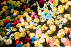 dsc1942-XMRfeWWkTYAz0FSa8j7z