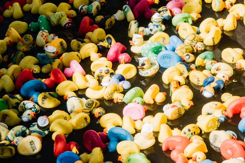 dsc1942-XMRfeWWkTYAz0FSa8j7z